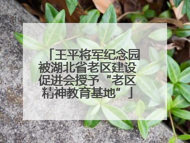 王平将军纪念园被湖北省老区建设促进会授予“老区精神教育基地”